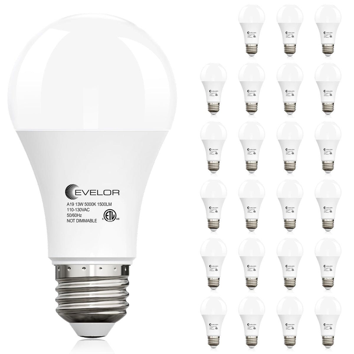 Evelor A19 LED bulb daylight 5000K with 1500 lumens for bright living spaces