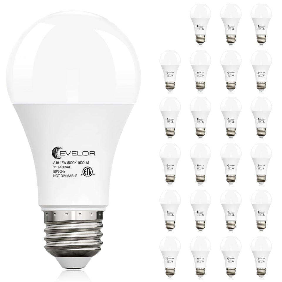Evelor A19 LED bulb daylight 5000K with 1500 lumens for bright living spaces