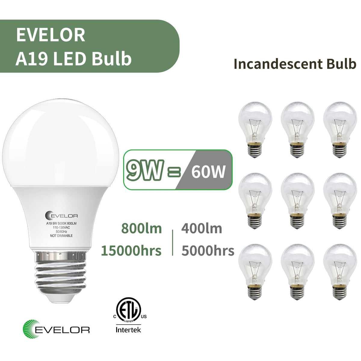 evelor A19 daylight 5000K bulb for bright, natural color in living rooms