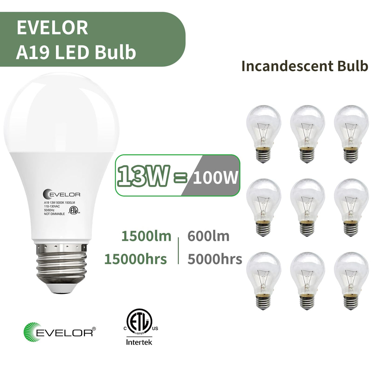 Evelor A19 LED bulb with E26 base for quick installation