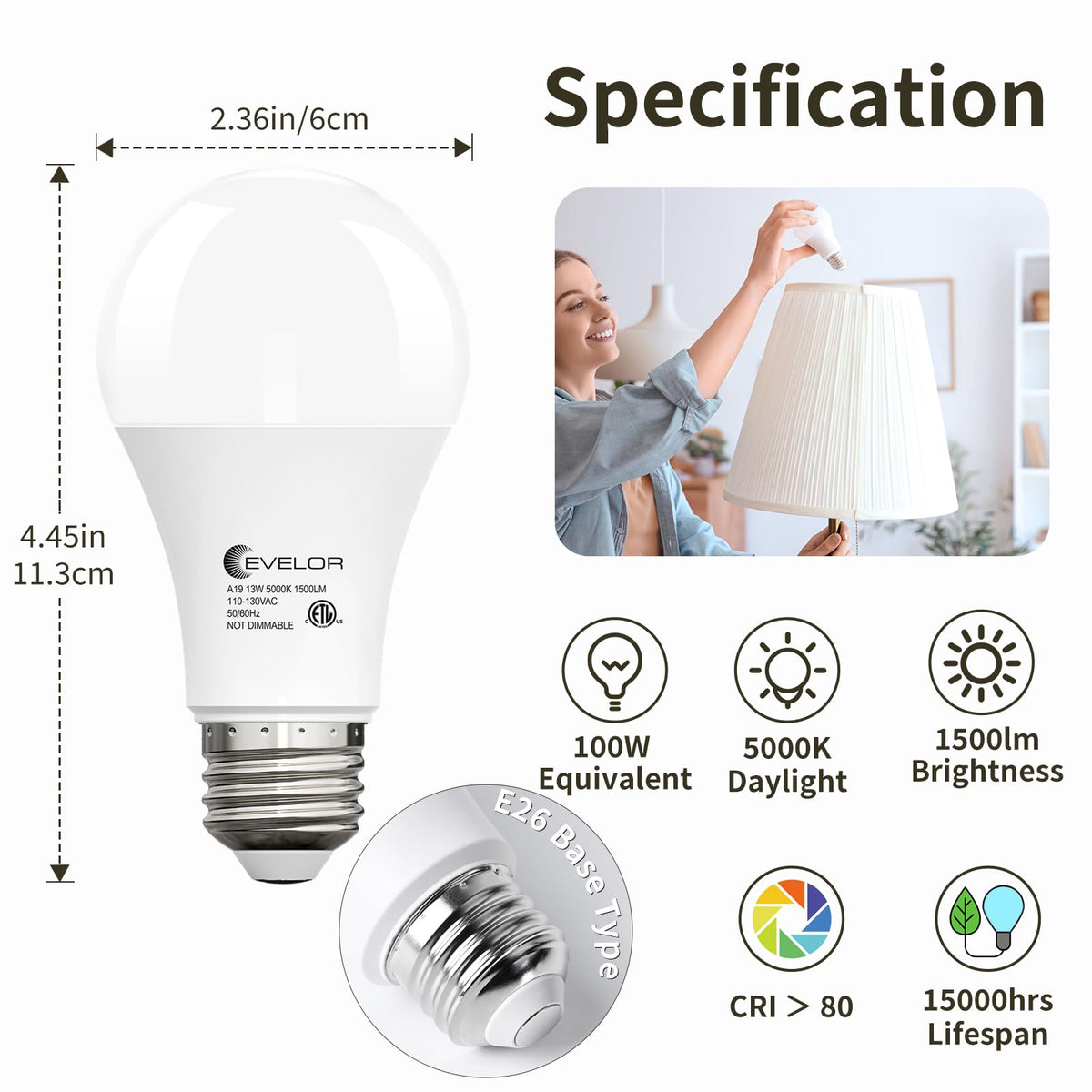 Evelor A19 LED bulb energy-saving 13W for lower energy use