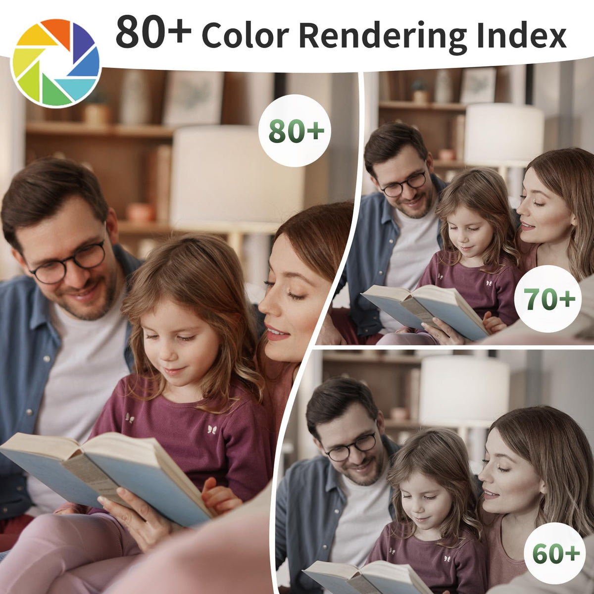 Evelor A19 LED bulb living room lighting for vibrant evenings