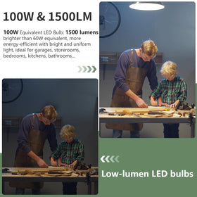 Evelor A19 LED bulb no flicker design for smooth light