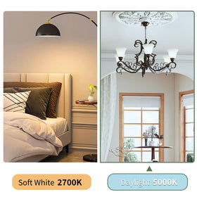 Evelor A19 LED bulb office lighting for focused work