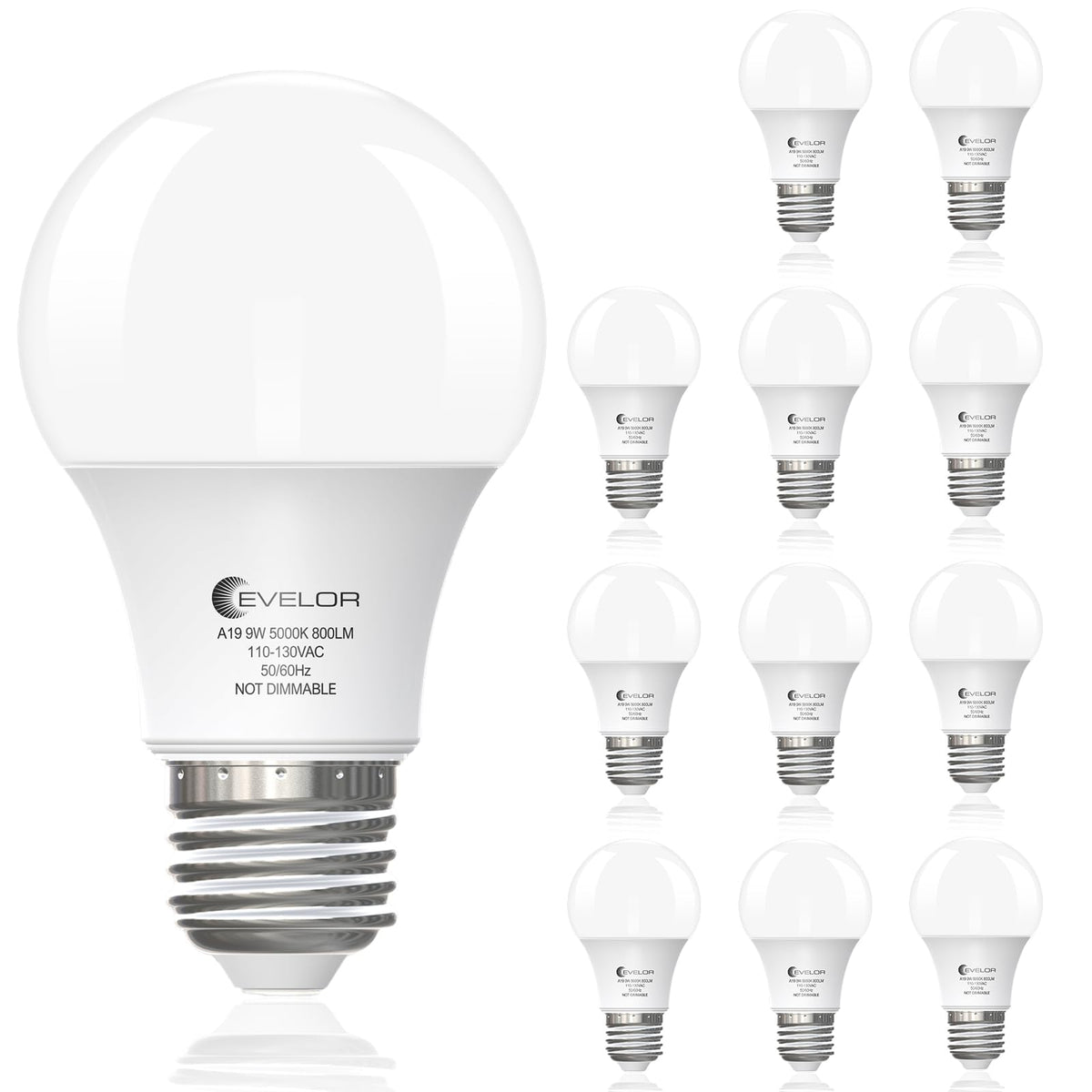 evelor A19 LED bulb packaged for quick home replacement