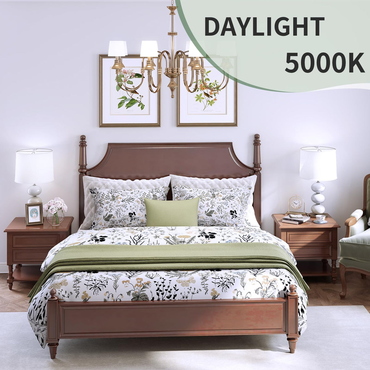 evelor A19 daylight lighting in a bright living space