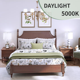 evelor A19 daylight lighting in a bright living space