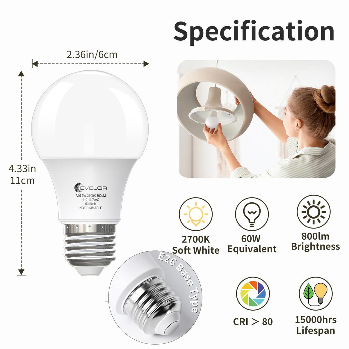 Evelor A19 LED bulb in a living room highlights bright, natural 800 lumens.