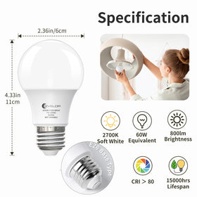 Evelor A19 LED bulb in a living room highlights bright, natural 800 lumens.
