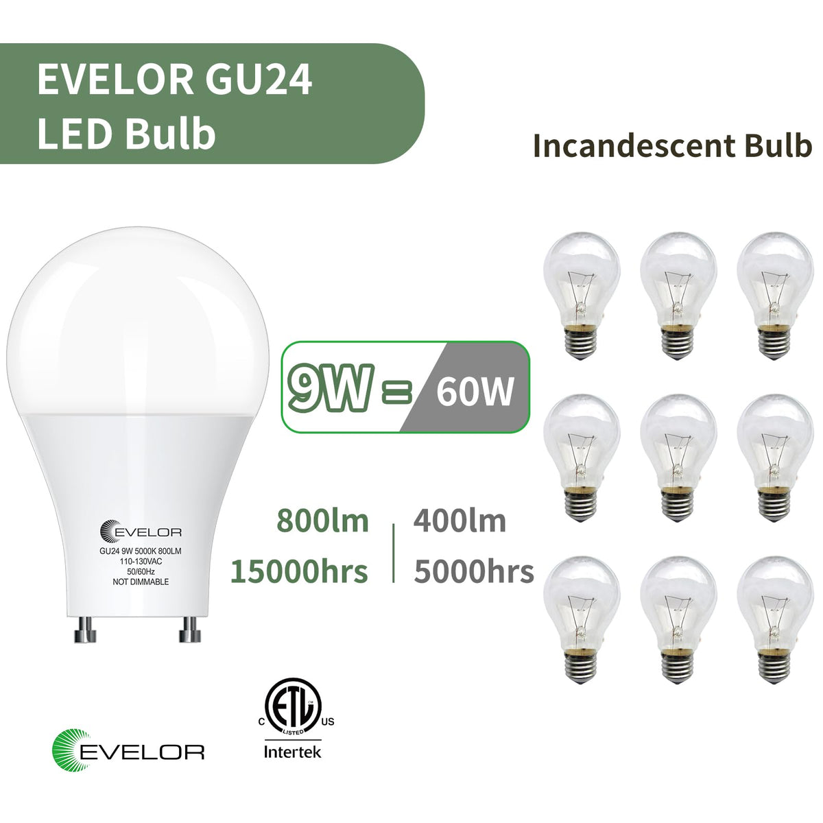 EVELOR GU24 LED bulb twist-and-lock installation in action