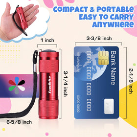 EverBrite included AAA batteries power the flashlights for immediate use