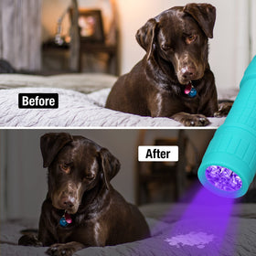 EverBrite 395nm UV detects pet urine and stains on textiles.