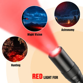 EverBrite 395nm UV blacklight reveals stains and hidden marks for quick checks.