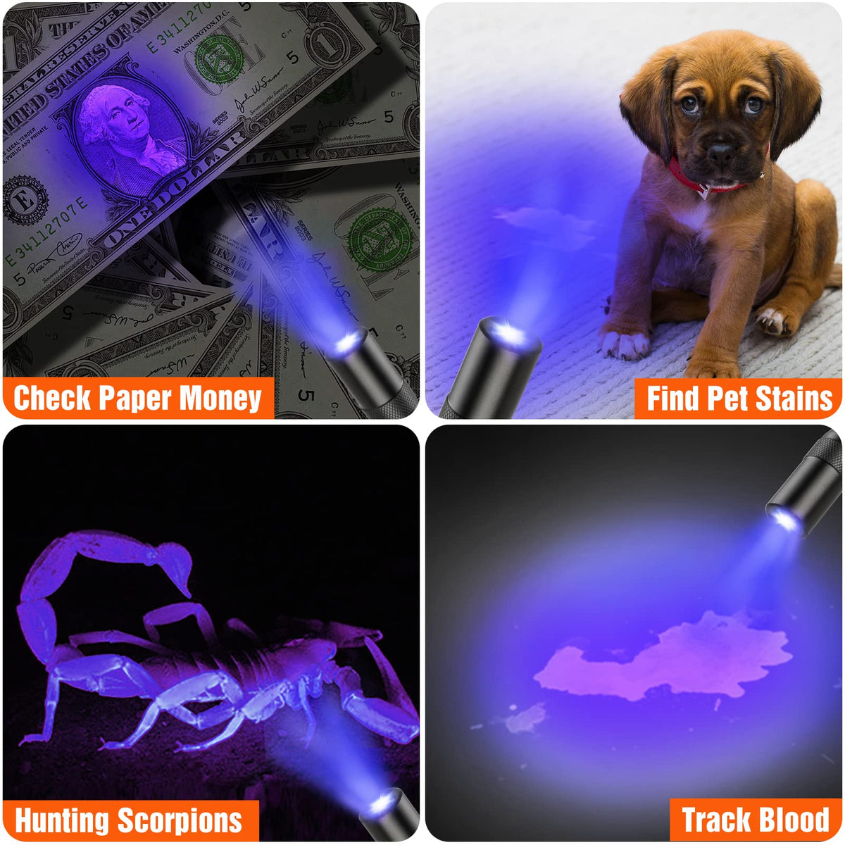EverBrite white light penlight illuminates trails and campsites for safe exploration.