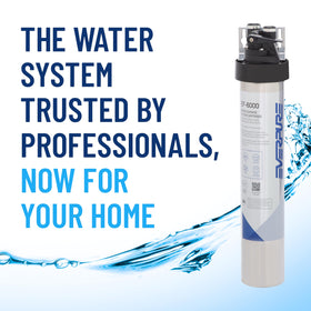 Everpure full-flow drinking water system in a modern kitchen