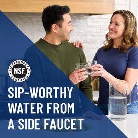 Everpure H-300-NXT dedicated faucet for filtered water at point of use