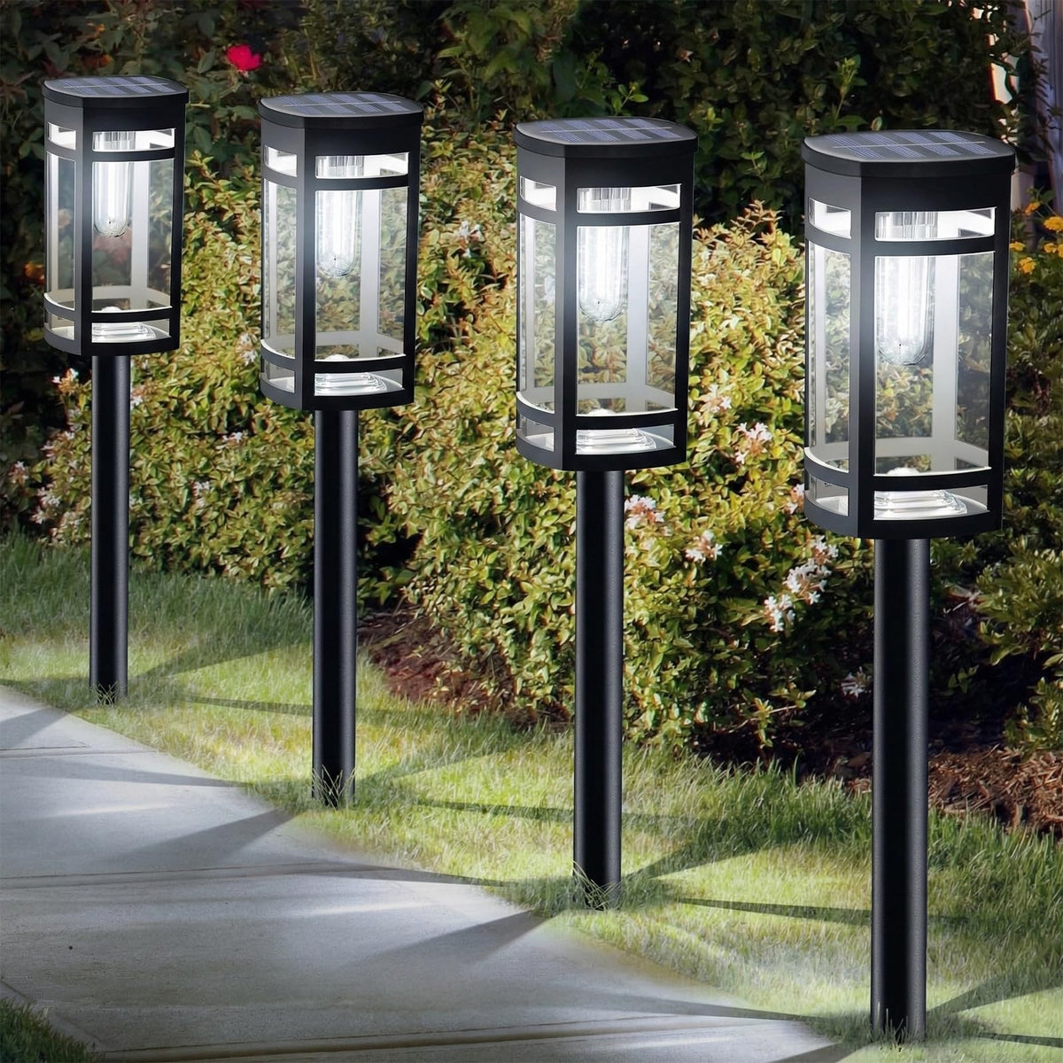 EXCMARK 12-pack solar lights illuminate garden pathways with soft, contemporary glow.