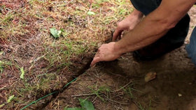 Extreme Dog Fence staples secure above-ground sections for quick installs.