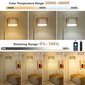 Eyassi Gold Floor Lamp remote control demonstrates effortless brightness and color adjustments.