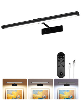 EZVALO 13inch picture light on art enhances colors and depth.