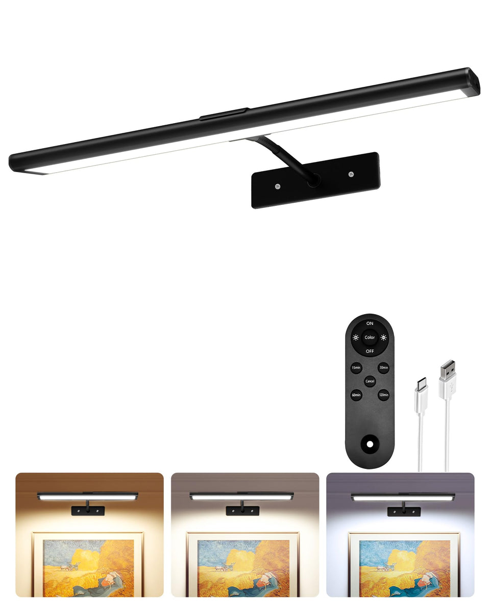 EZVALO 13inch picture light on art enhances colors and depth.