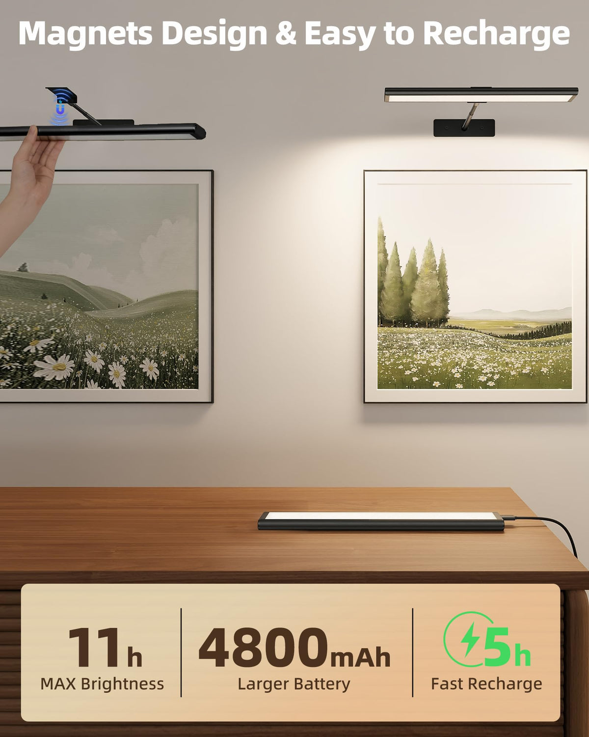 EZVALO 16-inch art light rotatable to direct light where needed.