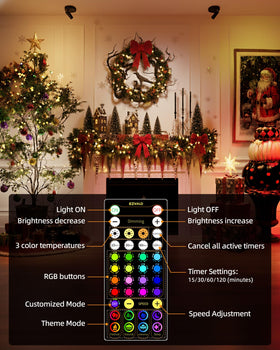 EZVALO adjustable head enables precise focus on paintings