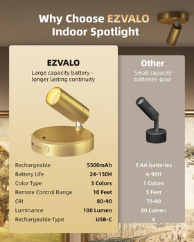 EZVALO LED Spotlight head is adjustable for precise aiming.