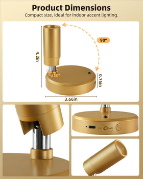 EZVALO adjustable-head spotlight provides directional lighting for tight displays.