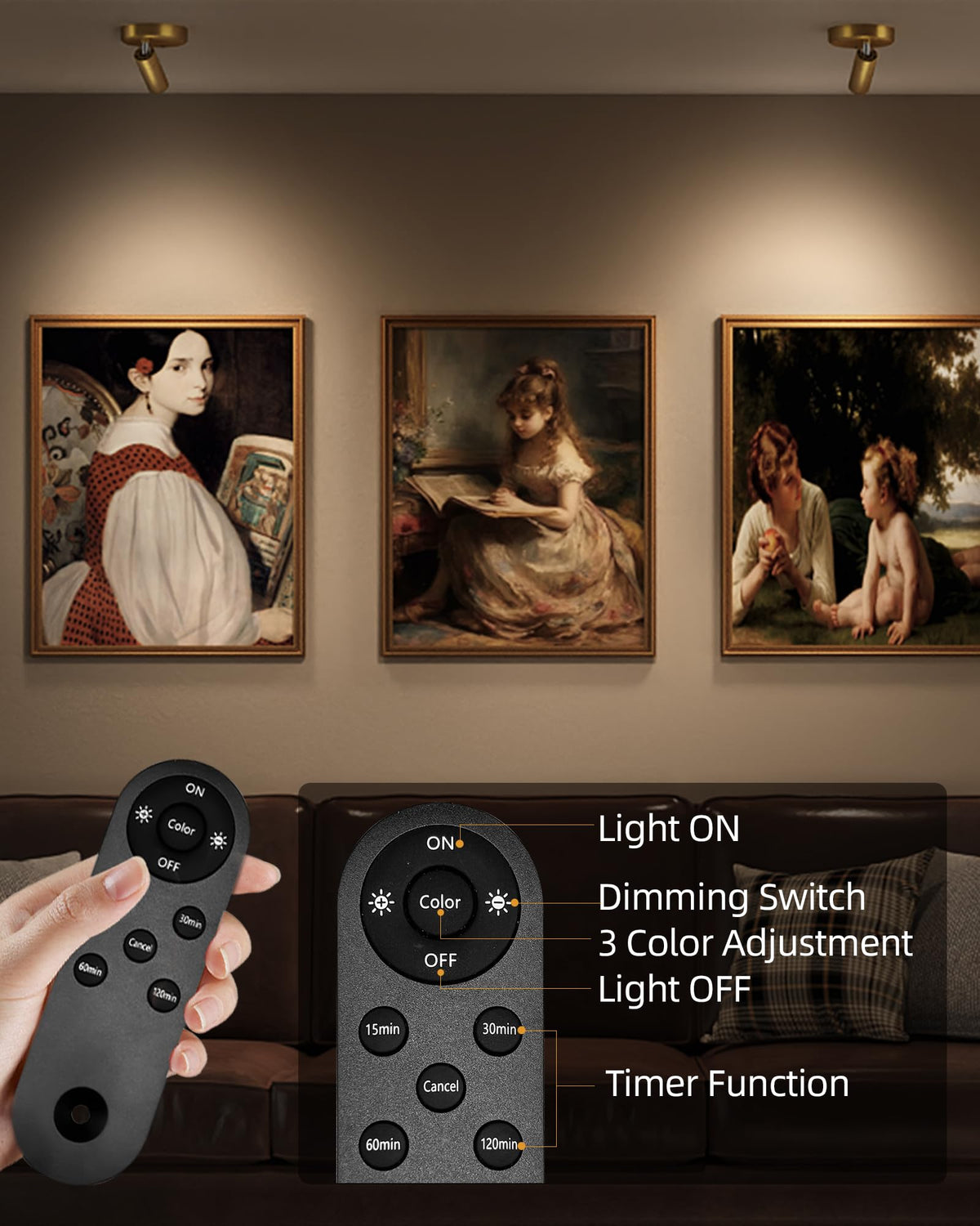EZVALO LED Spotlight focuses on a painting for subtle detail.
