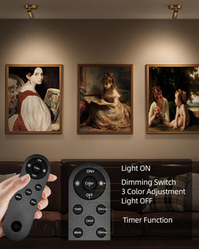 EZVALO LED Spotlight focuses on a painting for subtle detail.