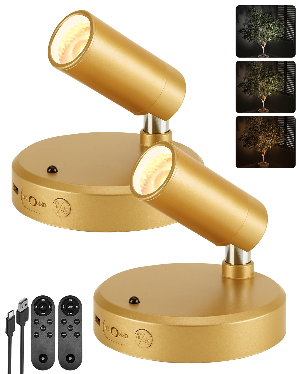 EZVALO LED spotlight highlights a plant with warm, glare-free illumination.