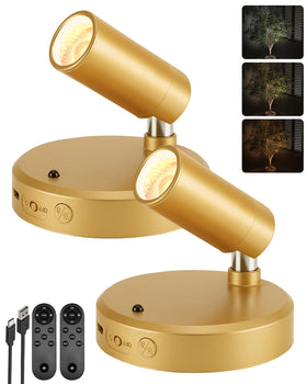 EZVALO LED spotlight highlights a plant with warm, glare-free illumination.