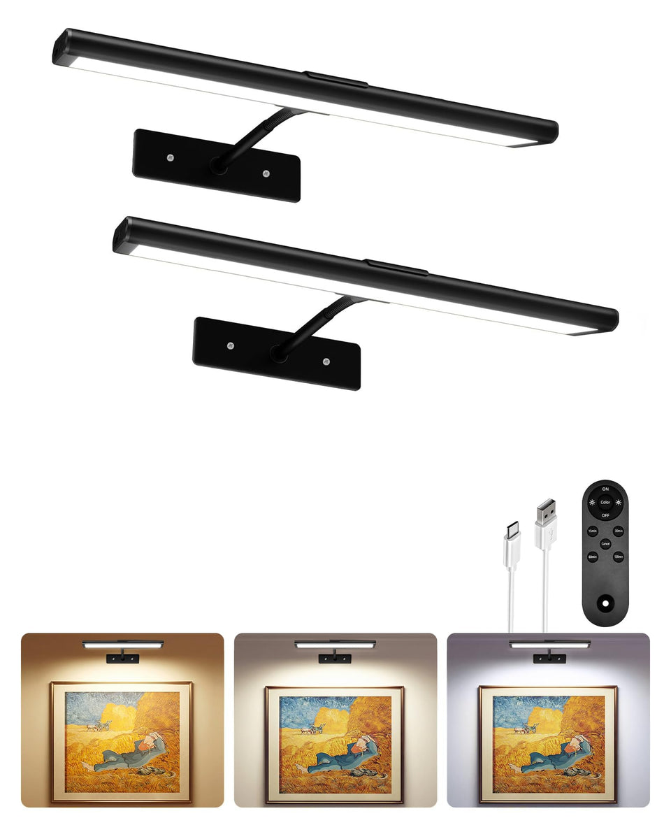 EZVALO 13-inch picture light illuminating wall art with even color rendering