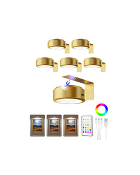 EZVALO picture light 6-pack mounted on wall to highlight artwork.