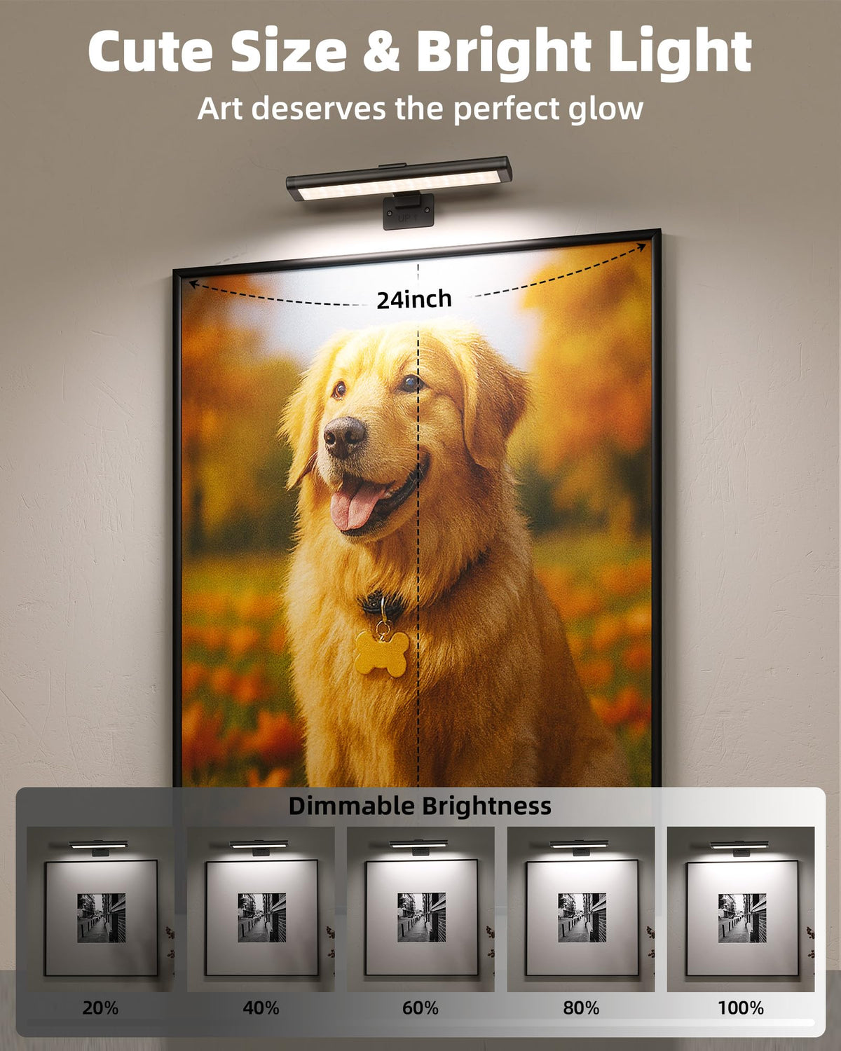 EZVALO picture light full-frame coverage highlights artwork on the wall.