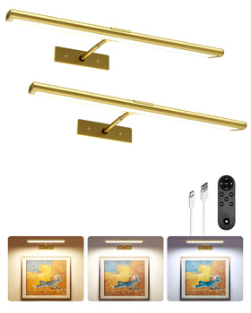 EZVALO gold picture light front view enhances wall art display