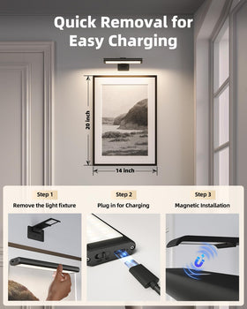 EZVALO picture light high-CRI display preserves true colors in photos.