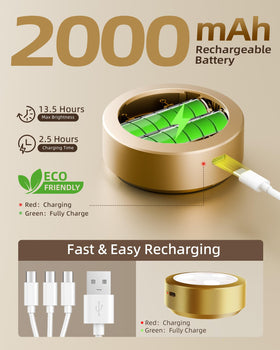 EZVALO remote-controlled picture light for easy adjustable wall display lighting.