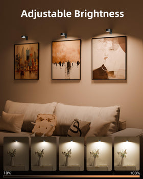 EZVALO Picture Light remote control for easy brightness and color tweaks