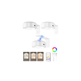EZVALO picture light on wall highlighting artwork with 3 color temps