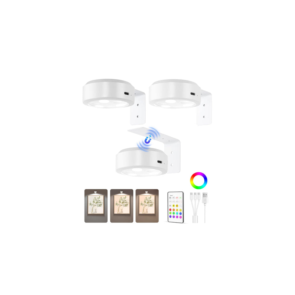 EZVALO picture light on wall highlighting artwork with 3 color temps
