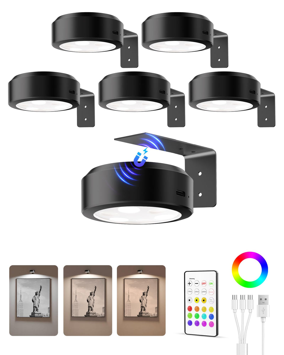EZVALO Picture Light wall mounted six-pack ready to illuminate art evenly.
