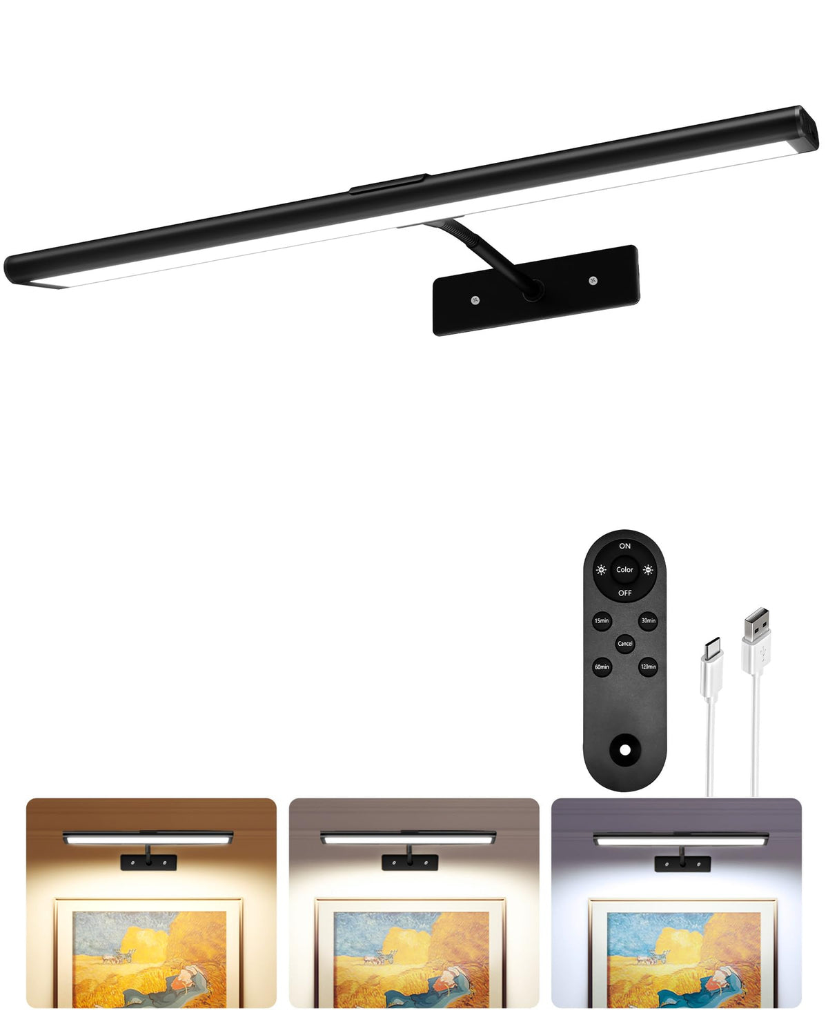 EZVALO picture light wall setup highlights artwork with even illumination.