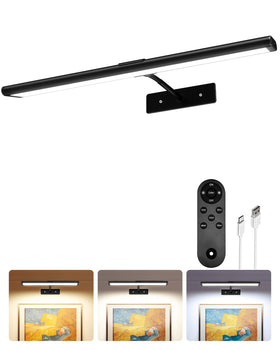 EZVALO picture light wall setup highlights artwork with even illumination.