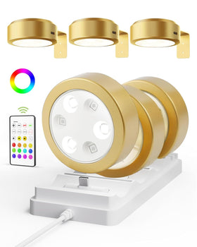 EZVALO picture light wall six-pack with charging station brightens gallery-style displays
