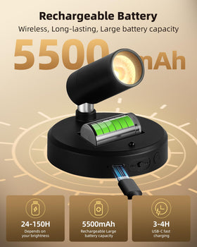 EZVALO 5500mAh rechargeable battery spotlight for plants and decor