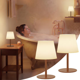 EZVALO Spa-Like Shower Lamp in shower ambient light for safer visibility.