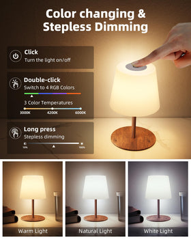 EZVALO spa-like shower lamp USB-C charging for cordless power