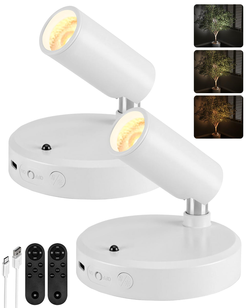 EZVALO spot light plant-highlight for precise, glare-free plant accents.